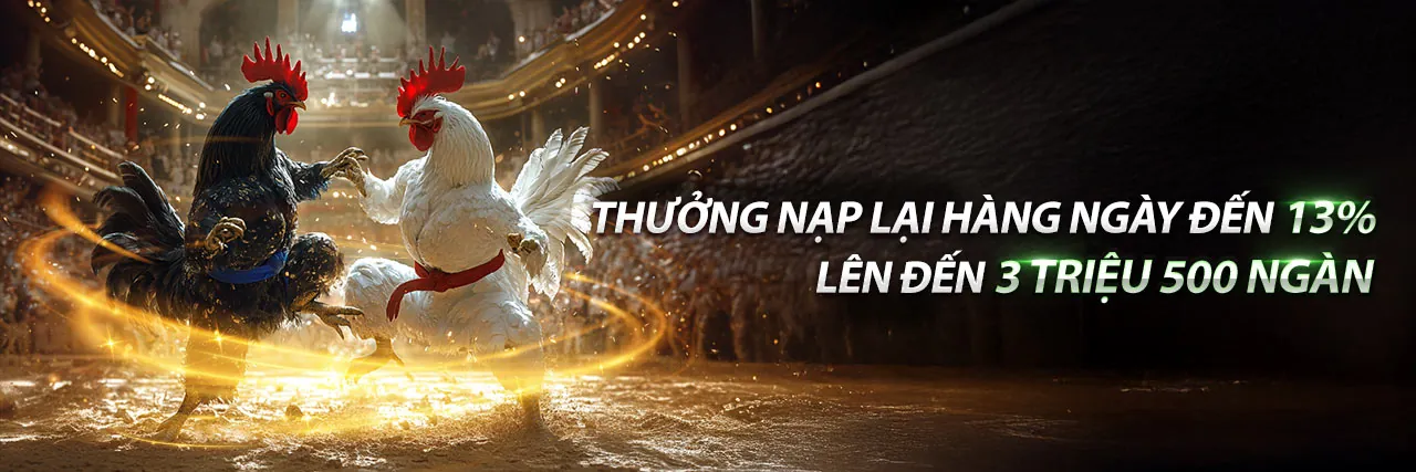 Đá Gà Trực Tuyến dg88 bet 2026